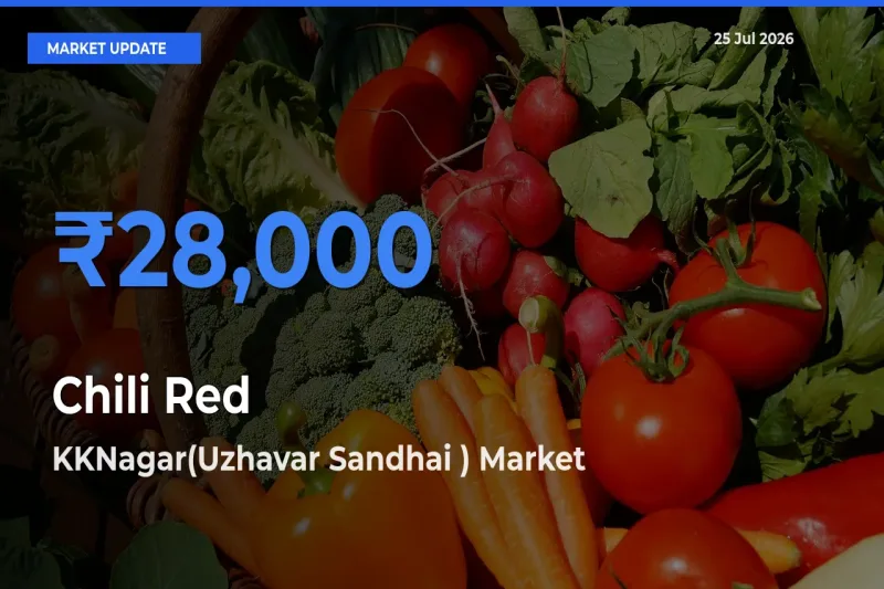KKNagar(Uzhavar Sandhai ) Tops Chili Red Rates – July 25 Market Update