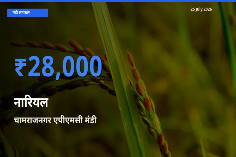 किसानों की पसंद बना चामराजनगर एपीएमसी, नारियल के सबसे अच्छे दाम