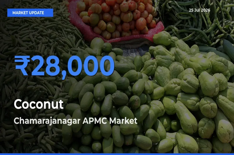 Chamarajanagar APMC Offers ₹28,000 – Highest Coconut Rate Today