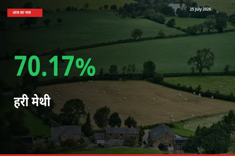 25 July अपडेट: हरी मेथी के दाम मंडी में 70.17% उछले