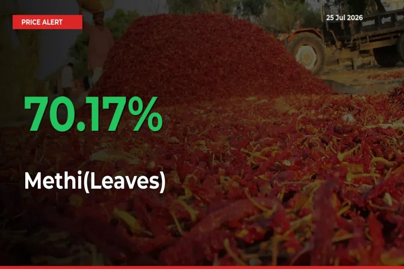 Sudden 70.17% Rally in Methi(Leaves) Prices Across Mandis