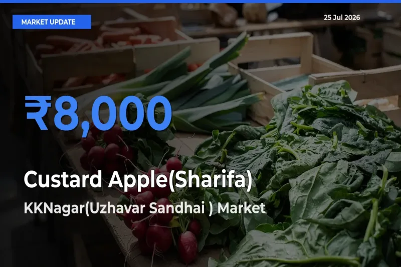 KKNagar(Uzhavar Sandhai ) Records Highest ₹8,000 Rate for Custard Apple(Sharifa)