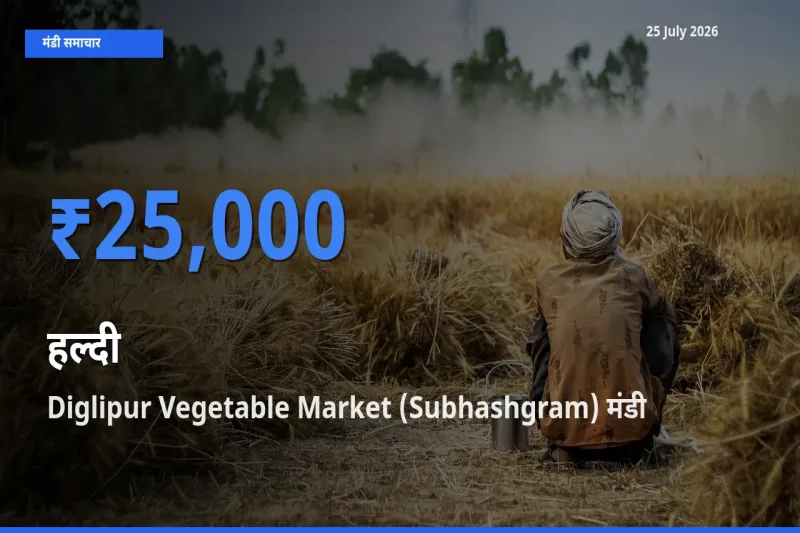 Diglipur Vegetable Market (Subhashgram) में हल्दी का आज सबसे ऊँचा भाव