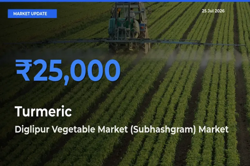 Diglipur Vegetable Market (Subhashgram) Emerges as Top Mandi for Turmeric Prices Today