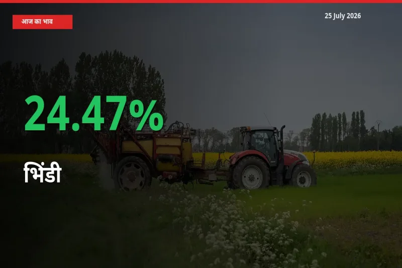 25 July अपडेट: भिंडी के दाम मंडी में 24.47% उछले