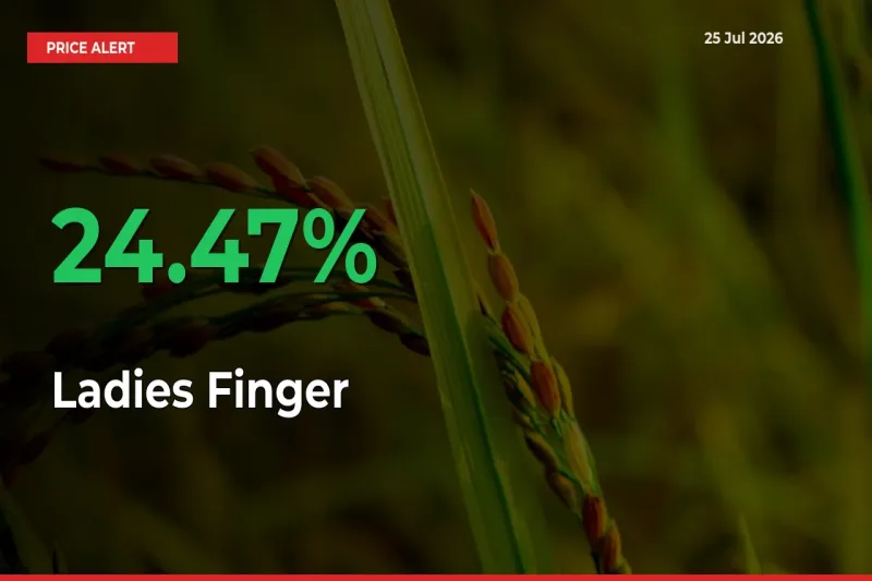 This Mandi Records 24.47% Jump in Ladies Finger Prices