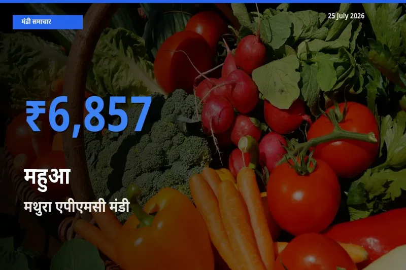 टॉप मंडी बना मथुरा एपीएमसी! महुआ के सबसे ऊँचे दाम यहीं दर्ज