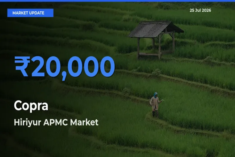 Hiriyur APMC Leads as Top Mandi for Copra Prices