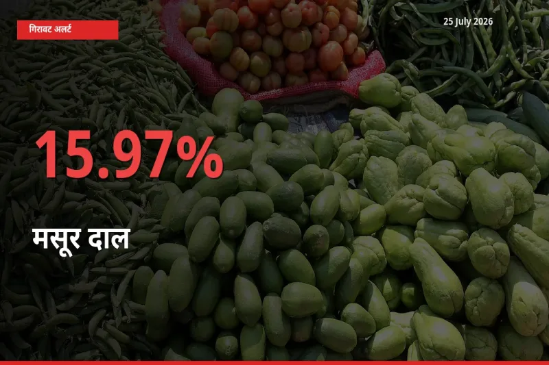 25 July अपडेट: मसूर दाल के दाम मंडी में 15.97% गिरे