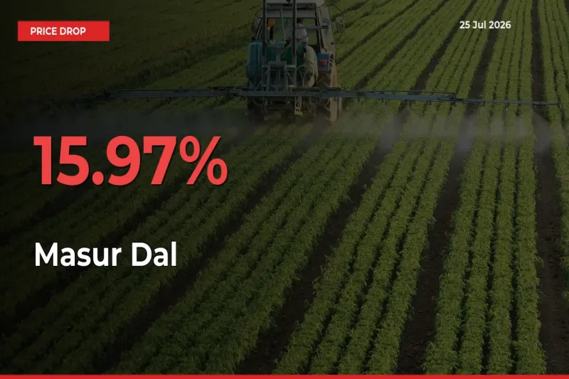 This Mandi Records 15.97% Fall in Masur Dal Prices