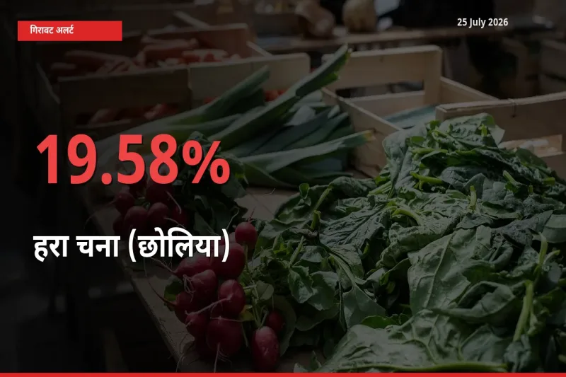 हरा चना (छोलिया) के दाम प्रमुख मंडी में 19.58% गिरे, 24 घंटे में बड़ा बदलाव