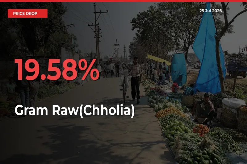 Sudden Shock! Gram Raw(Chholia) Drops 19.58% in 24 Hours at Top Mandis