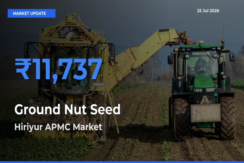 Hiriyur APMC Records Highest ₹11,737 Rate for Ground Nut Seed