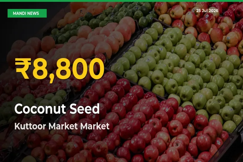 Coconut Seed Hits Fresh High in Kuttoor Market Today