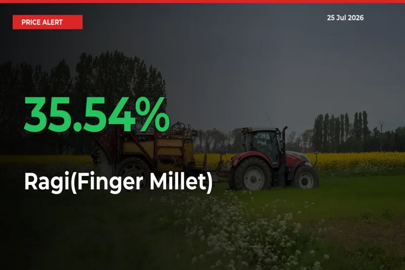 Ragi(Finger Millet) Mandi Rate Today: Prices Jump 35.54% at Market