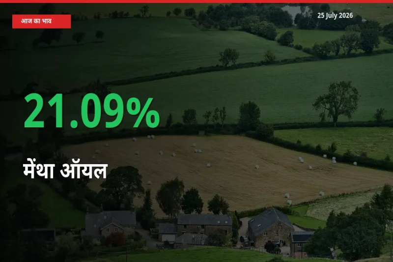 स्थानीय मंडी में मेंथा ऑयल के दाम अचानक 21.09% उछले, किसान सतर्क