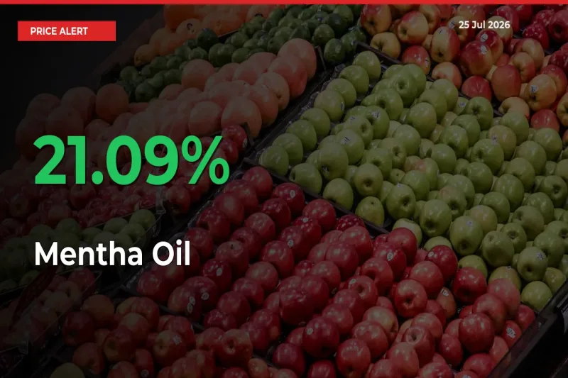 Big Rally! Mentha Oil Climbs 21.09% in 24 Hours at Top Mandis