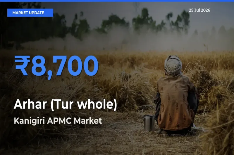 Kanigiri APMC Tops Arhar (Tur whole) Rates – July 25 Market Update