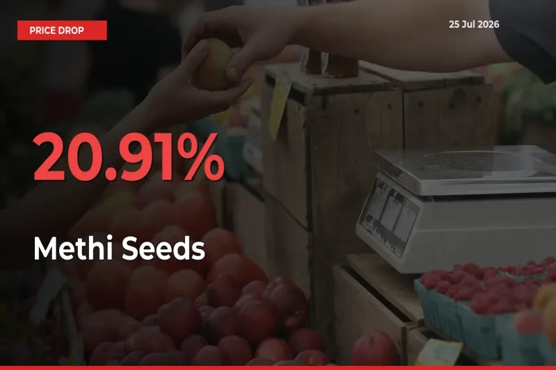 Sudden Shock! Methi Seeds Drops 20.91% in 24 Hours at Top Mandis