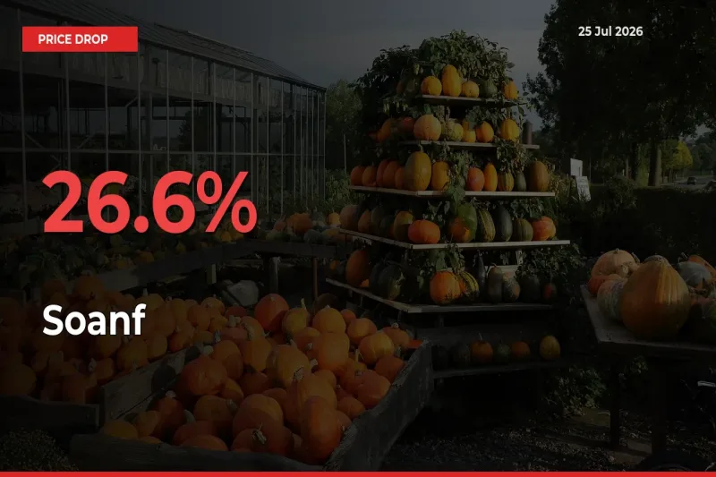 26.6% Drop in Soanf Prices – Mandi Sees Sudden Fall