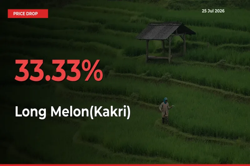 Sudden Shock! Long Melon(Kakri) Drops 33.33% in 24 Hours at Top Mandis