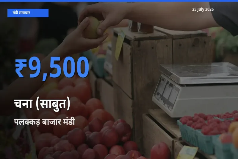 आज का मंडी भाव: चना (साबुत) के सबसे ज़्यादा दाम पलक्कड़ बाजार में