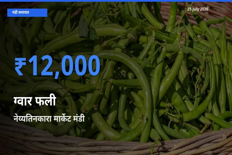 टॉप मंडी बना नेय्यतिनकारा मार्केट! ग्वार फली के सबसे ऊँचे दाम यहीं दर्ज