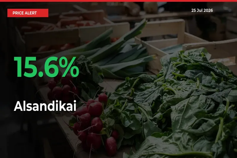 Sharp Jump! Alsandikai Prices Climb 15.6% in 24 Hours at Key Mandis