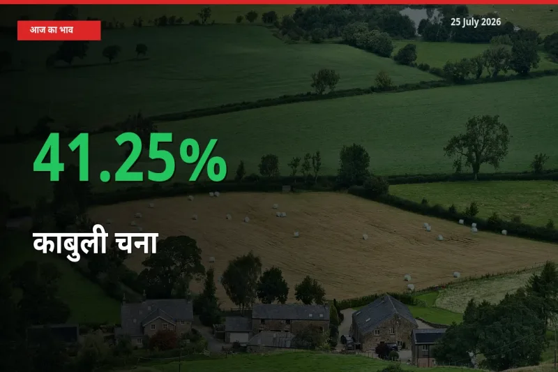 बाज़ार संकेत: काबुली चना के भाव मंडी में 41.25% ऊपर