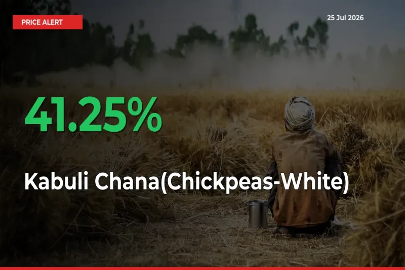 Big Rally! Kabuli Chana(Chickpeas-White) Climbs 41.25% in 24 Hours at Top Mandis