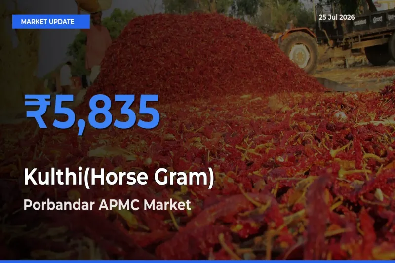 Porbandar APMC Tops Kulthi(Horse Gram) Rates – July 25 Market Update