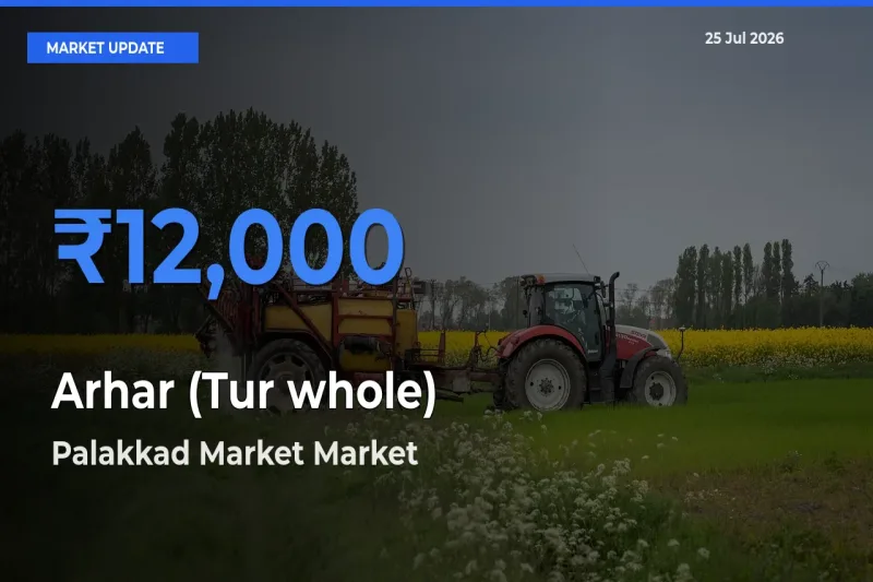 Farmers Prefer Palakkad Market as Arhar (Tur whole) Hits Highest Rate