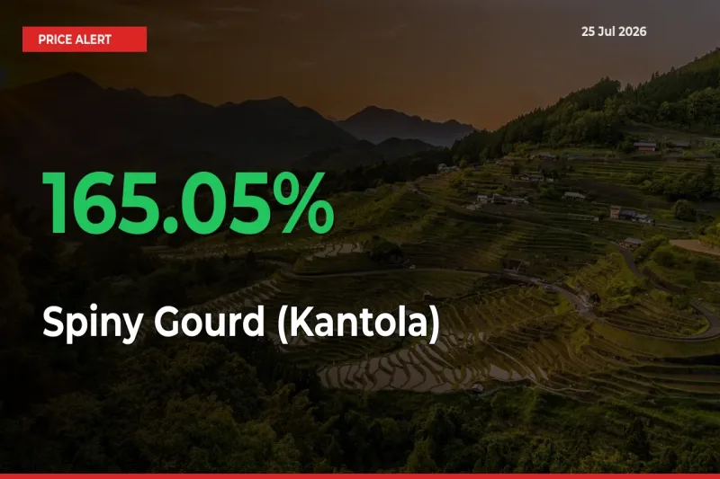 Sharp Jump! Spiny Gourd (Kantola) Prices Climb 165.05% in 24 Hours at Key Mandis