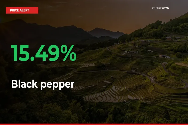 Big Rally! Black pepper Climbs 15.49% in 24 Hours at Top Mandis