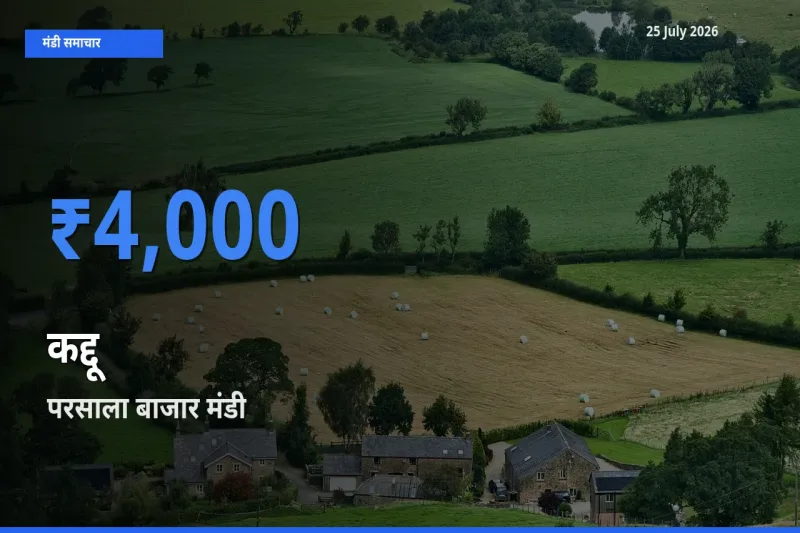 बाज़ार संकेत: परसाला बाजार बना कद्दू के लिए आज की टॉप मंडी
