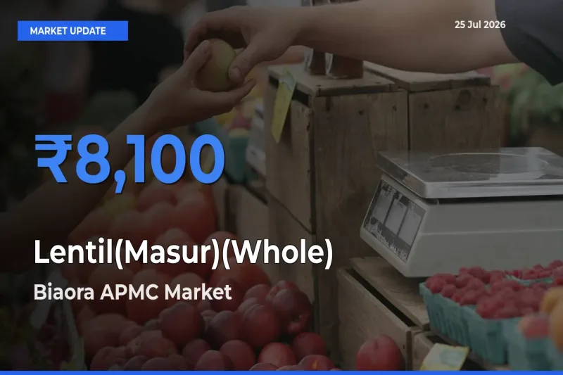 Biaora APMC Leads as Top Mandi for Lentil(Masur)(Whole) Prices