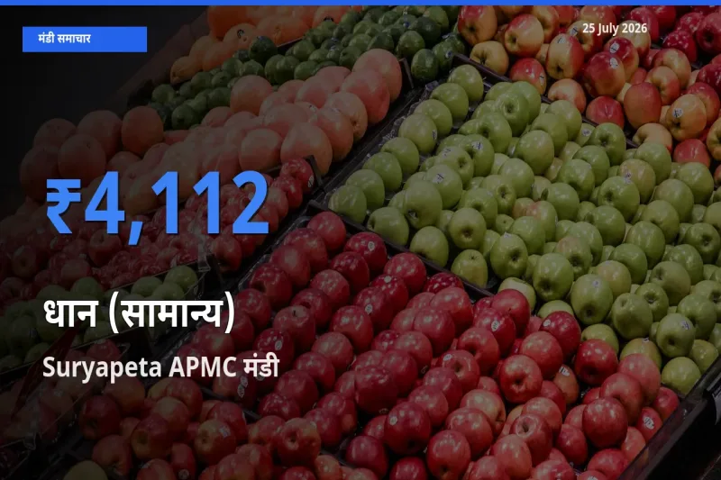 आज धान (सामान्य) के सबसे ऊँचे दाम ₹4,112 Suryapeta APMC मंडी में