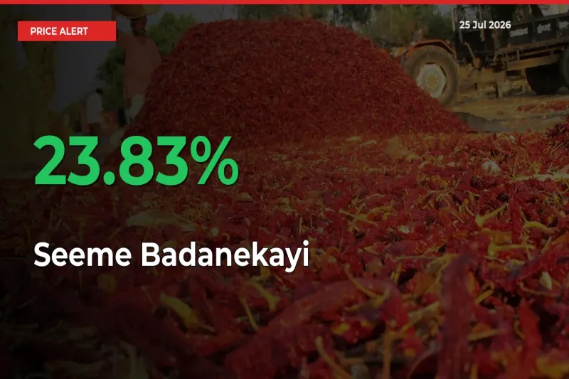 Sudden 23.83% Rally in Seeme Badanekayi Prices Across Mandis