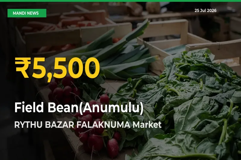 RYTHU BAZAR FALAKNUMA Leads as Field Bean(Anumulu) Hits Highest Rate – July 25 Update