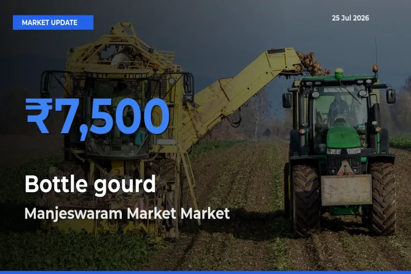 Manjeswaram Market Tops Bottle gourd Mandi Rates Today