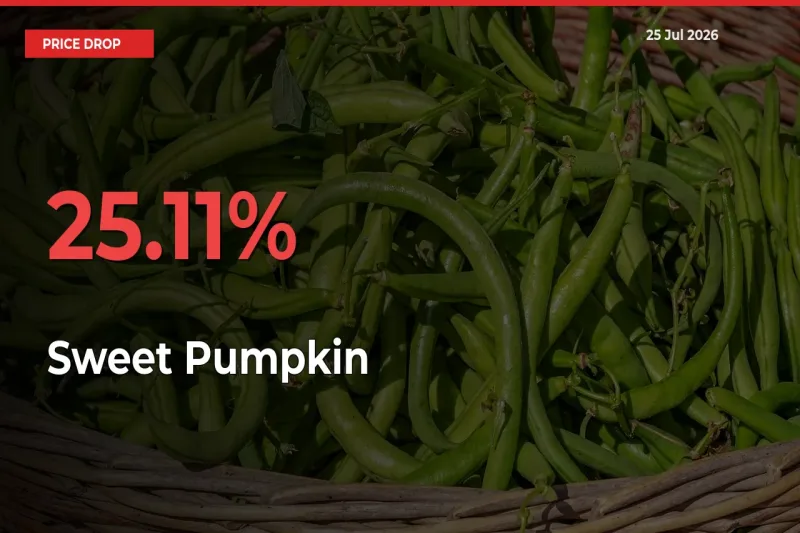 Why Sweet Pumpkin Prices Fell 25.11% in a Day at Mandis