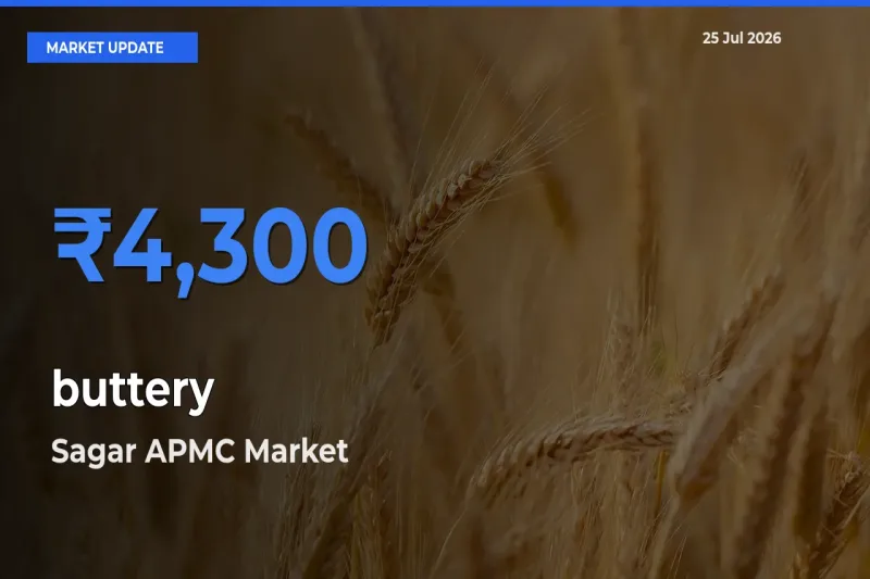 Sagar APMC Emerges as Top Mandi for buttery Prices Today