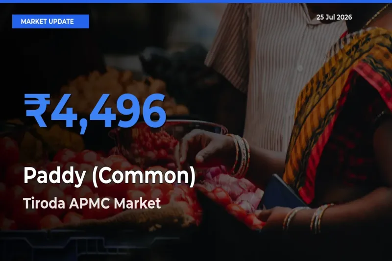 Tiroda APMC Leads as Top Mandi for Paddy (Common) Prices