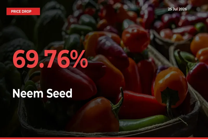 Neem Seed Mandi Rate Today: Prices Fall 69.76% at Market