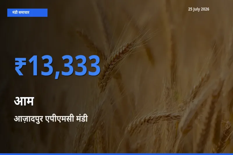 टॉप मंडी बना आज़ादपुर एपीएमसी! आम के सबसे ऊँचे दाम यहीं दर्ज
