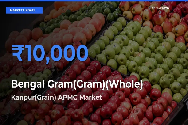 Kanpur(Grain) APMC Emerges as Top Mandi for Bengal Gram(Gram)(Whole) Prices Today