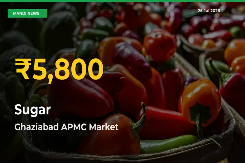 Sugar Mandi Rate Surges Today in Ghaziabad APMC – Highest Level in 30 Days