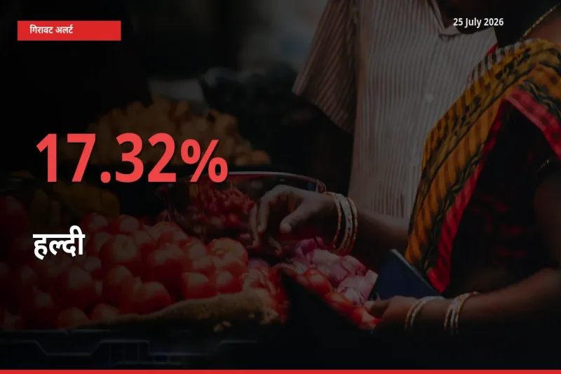 किसानों की चिंता बढ़ी! स्थानीय मंडी में हल्दी 17.32% गिरा