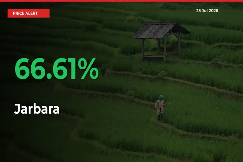66.61% Spike in Jarbara Prices – Mandi Sees Sudden Rally