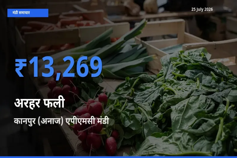 कानपुर (अनाज) एपीएमसी मंडी में अरहर फली ₹13,269 पर पहुँचा – आज का सर्वोच्च भाव